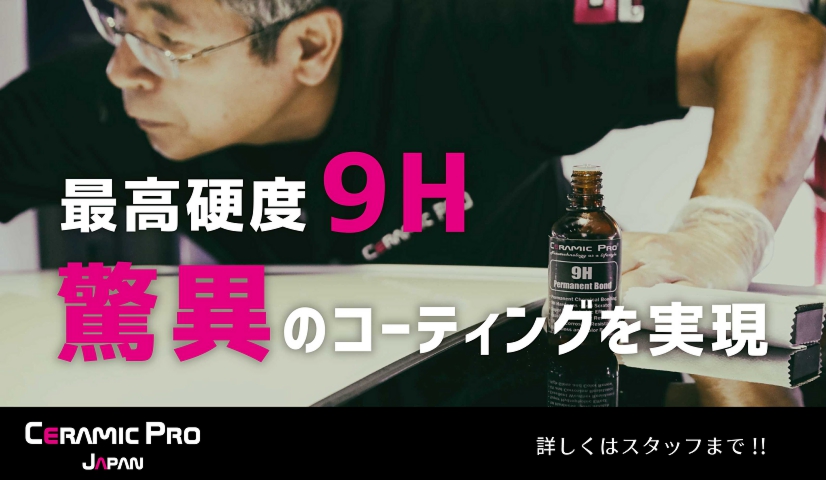 top1.jpg